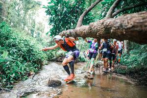 BIB: 
                            <button type="button" onclick="openModal(25373548)" class="btn btn-primary btn-sm float-right btn-popup" data-toggle="modal" data-target=".modal-high-quality">
                        <i class="fas fa-shopping-cart"></i> Add to Cart
                    </button>
                                            <button type="button" onclick="isThisMe(25373548, true)" class="btn btn-success btn-sm float-right btn-popup btn-isme hidden" data-toggle="tooltip" data-placement="bottom" title="นี่คือรูปของคุณใช่ไหม คลิกที่นี่เพื่อเอาเข้าอัลบั้ม">
                        <i class="fas fa-plus"></i> Add to album
                    </button>
                    <button type="button" onclick="isThisMe(25373548, false)" class="btn btn-warning btn-sm float-right btn-popup btn-isnotme hidden">
                        <i class="fas fa-ban"></i> Remove from album
                    </button>